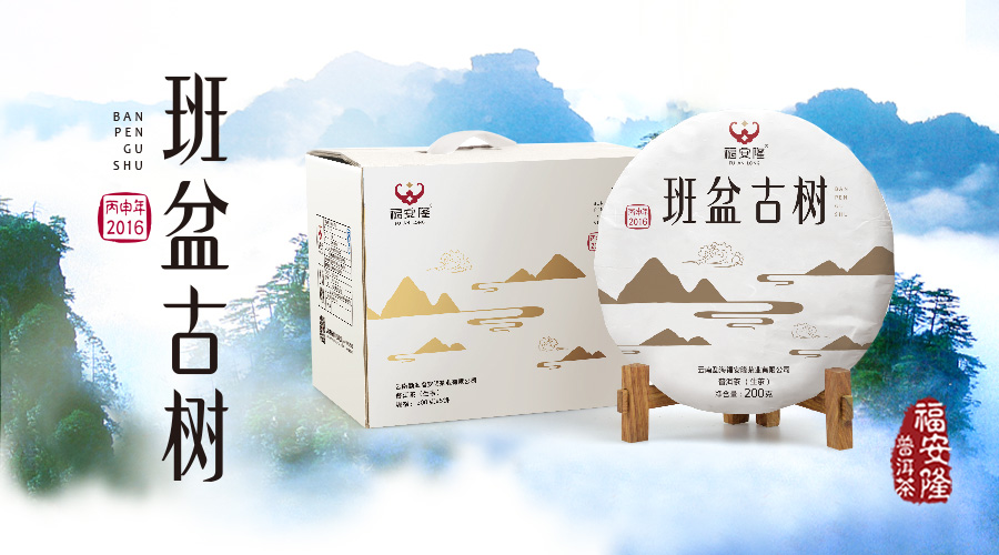 福安隆【班盆古树】，来自班盆老寨的古树经典配图