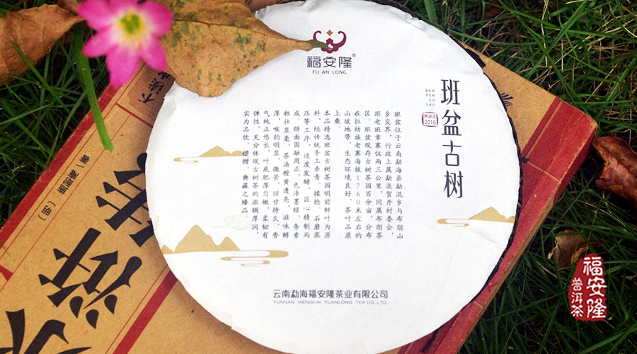 福安隆听说，“班”家的好茶要开汤分享哦～配图2