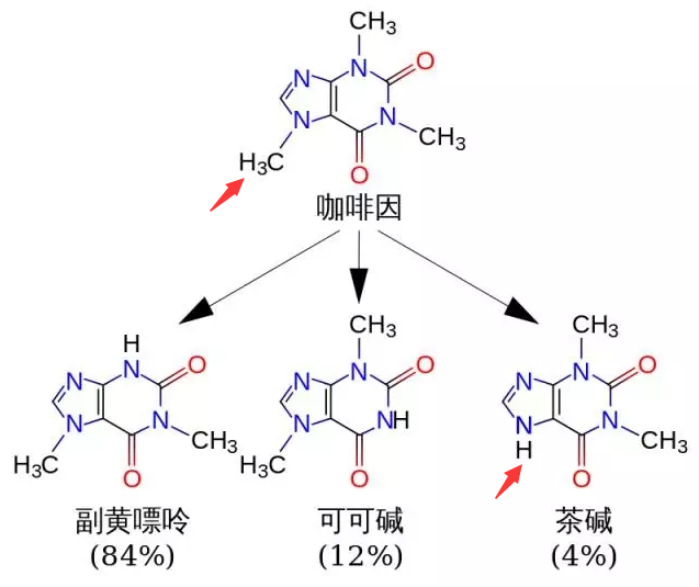 福安隆茶和咖啡，到底哪个更提神？配图2