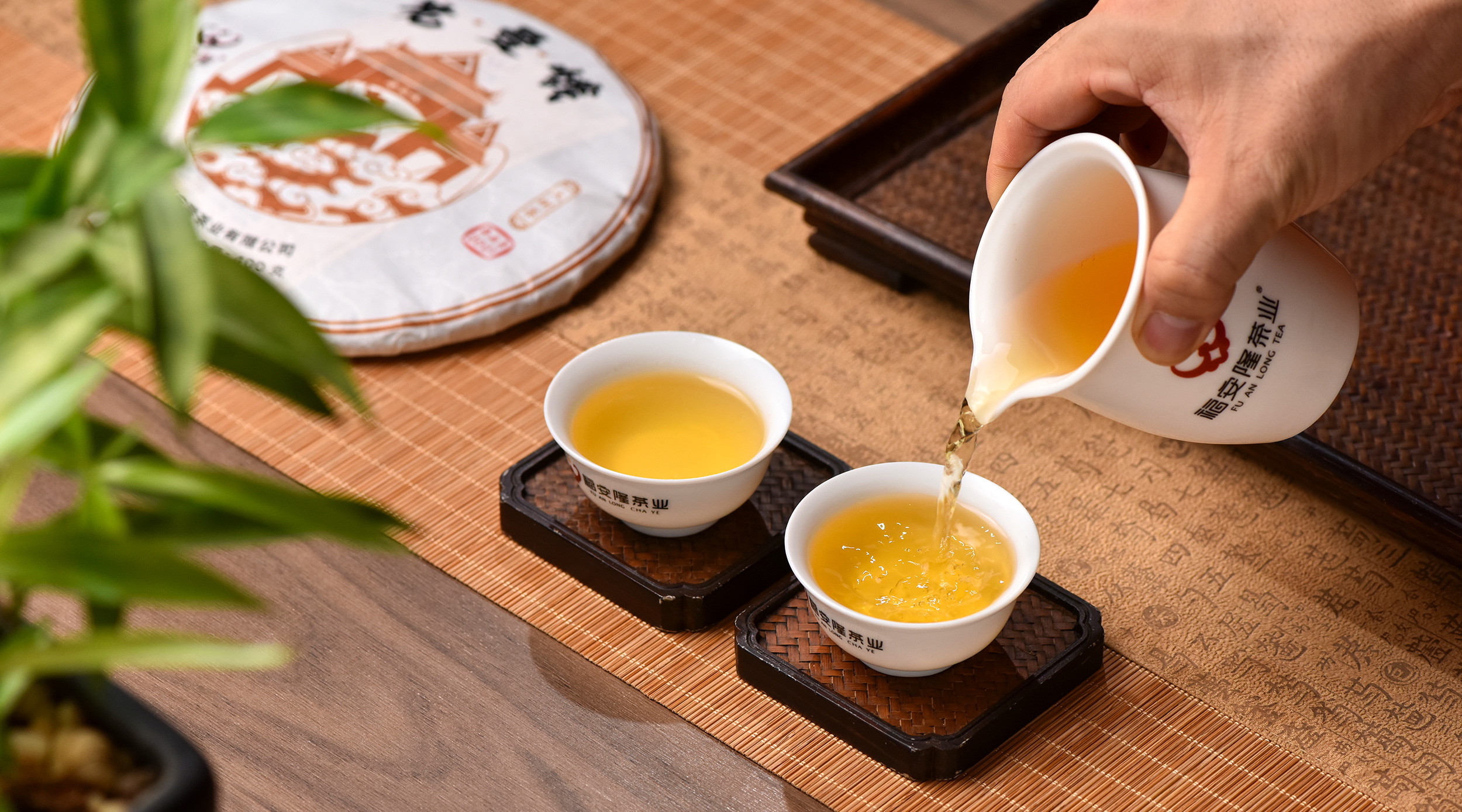 福安隆天赐老曼峨，物华涵苦甜！2021年【老曼峨】荣耀上市！配图