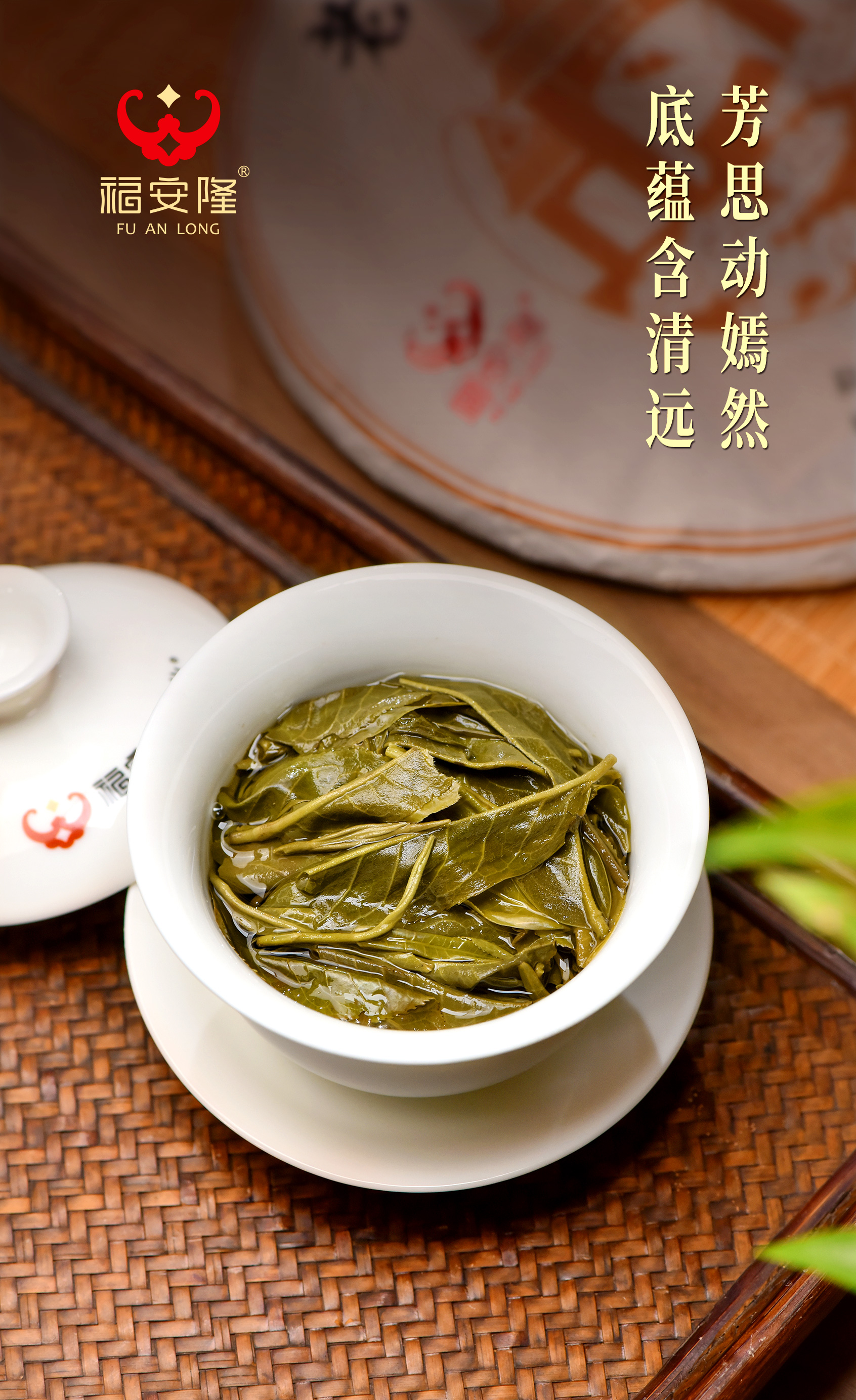 福安隆千年老曼峨，一叶擎今古！配图