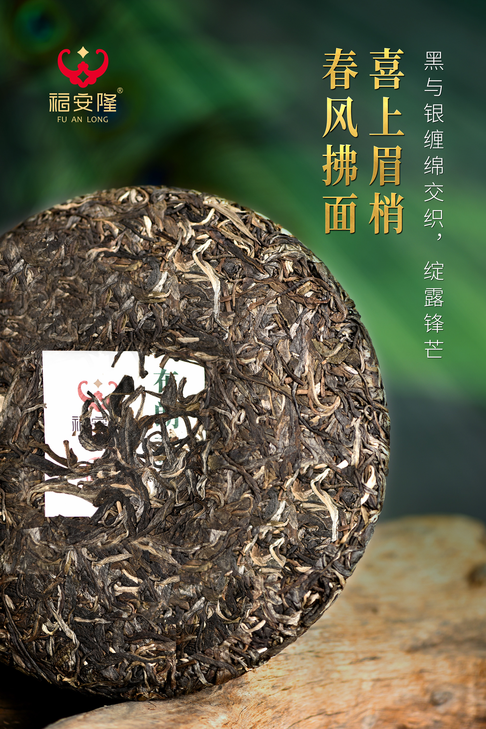 福安隆【布朗孔雀2301】上市｜铸造大树经典，抒写布朗山耀世传奇！配图